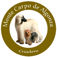 logorealfinalcomprimido.jpg